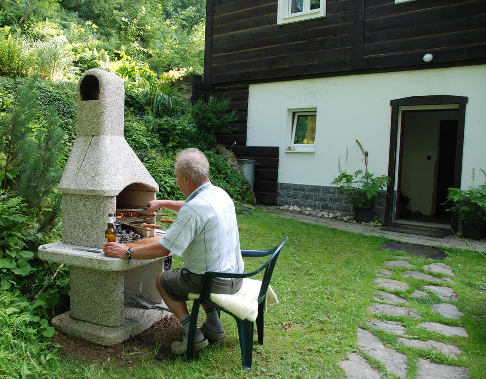 Villa Na Černém potoce à Rokytnice nad Jizerou Extérieur photo