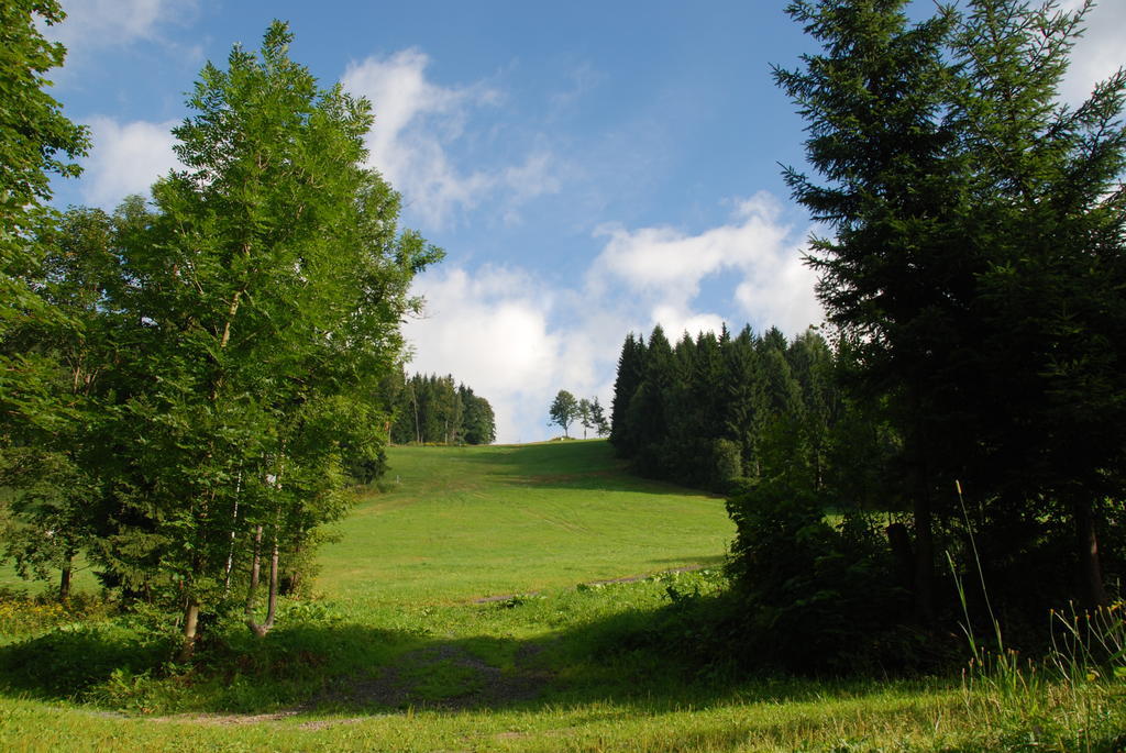 Villa Na Černém potoce à Rokytnice nad Jizerou Extérieur photo
