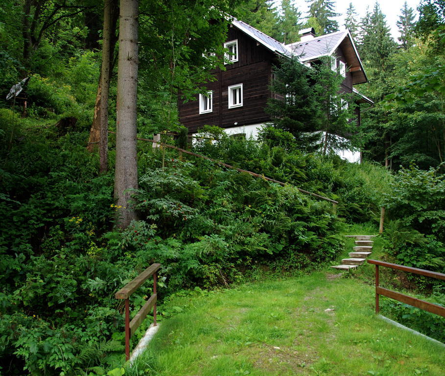 Villa Na Černém potoce à Rokytnice nad Jizerou Extérieur photo